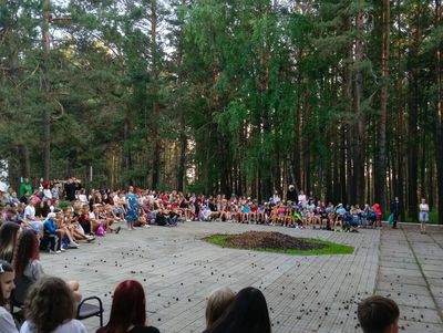 Поиски цветка папоротника