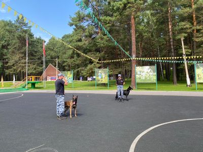 Выставка учебного и табельного оружия для участников встречи