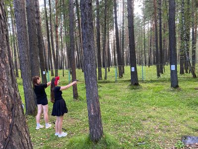 Участники демонстрируют точность и выдержку