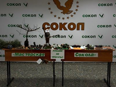 Поделки участников конкурса «Мастерская Сокола» из природных материалов
